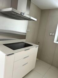 The Metropolitan Condominium (D3), Condominium #595269861